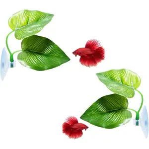 2 Pack Betta Fish Leaf Pad Improves Betta's  by Simulating The  Habitat - , , Comfortable Rest Area for Fish Aquarium Ornaments