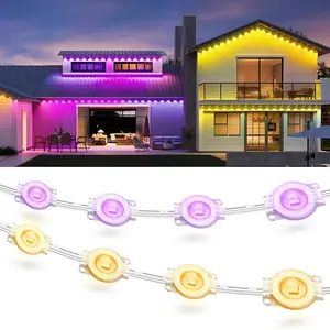 RGB Eave Outdoor Lights, Permanent Outdoor LED Colorful Eave Lights, with APP Control and Remote Control, DIY Mode, IP67 Waterproof.