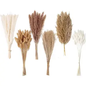 Dried Pampas Grass Decor, 120 PCS Pampas Grass with Bunny Tails Dried, Reed Grass Bouquet for Wedding, Boho, Home Table Decor, Rustic Farmhouse Party (White and Brown)