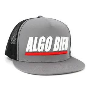 Algo Bien Grey/Black flat visor hat