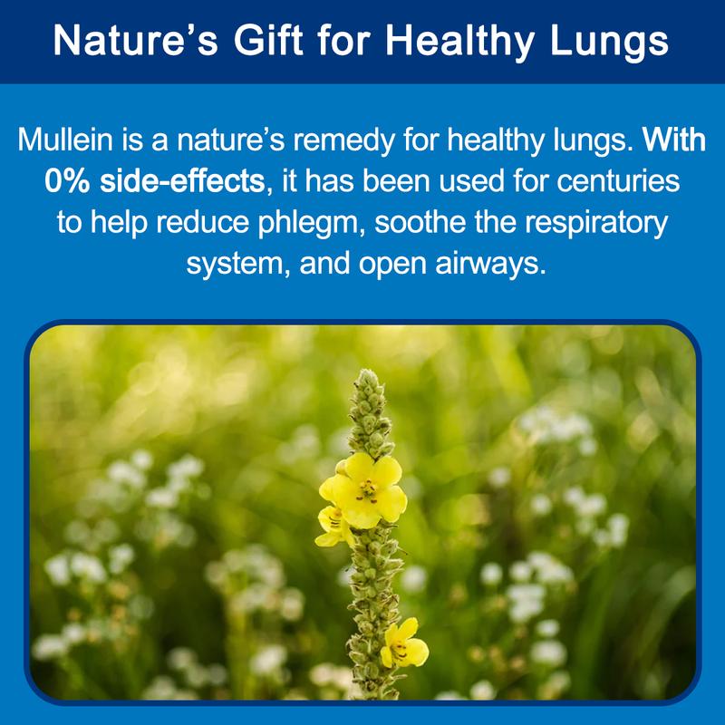 Mullein Magic Gummies- For Lungs & Respiratory Health, Mix Berry Falvor