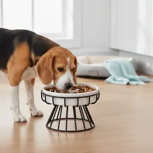 Anti-slip ceramic pet bowl, specially designed for slow eating, preventing spillage and promoting healthy eating for small dogs and cats.