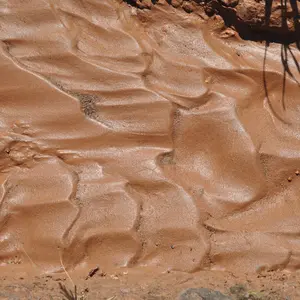 Bug Mud Substrate for Springtails, Isopods, and Terrariums – Multi-Pound Options Available for Bioactive Setups and Reptile Enclosures