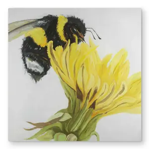 Begin Home Decor C1MP3232VF17JA 32 x 32 in. Little Bumblebee On A Dandelion Wall Art - Contemporary Metal Print