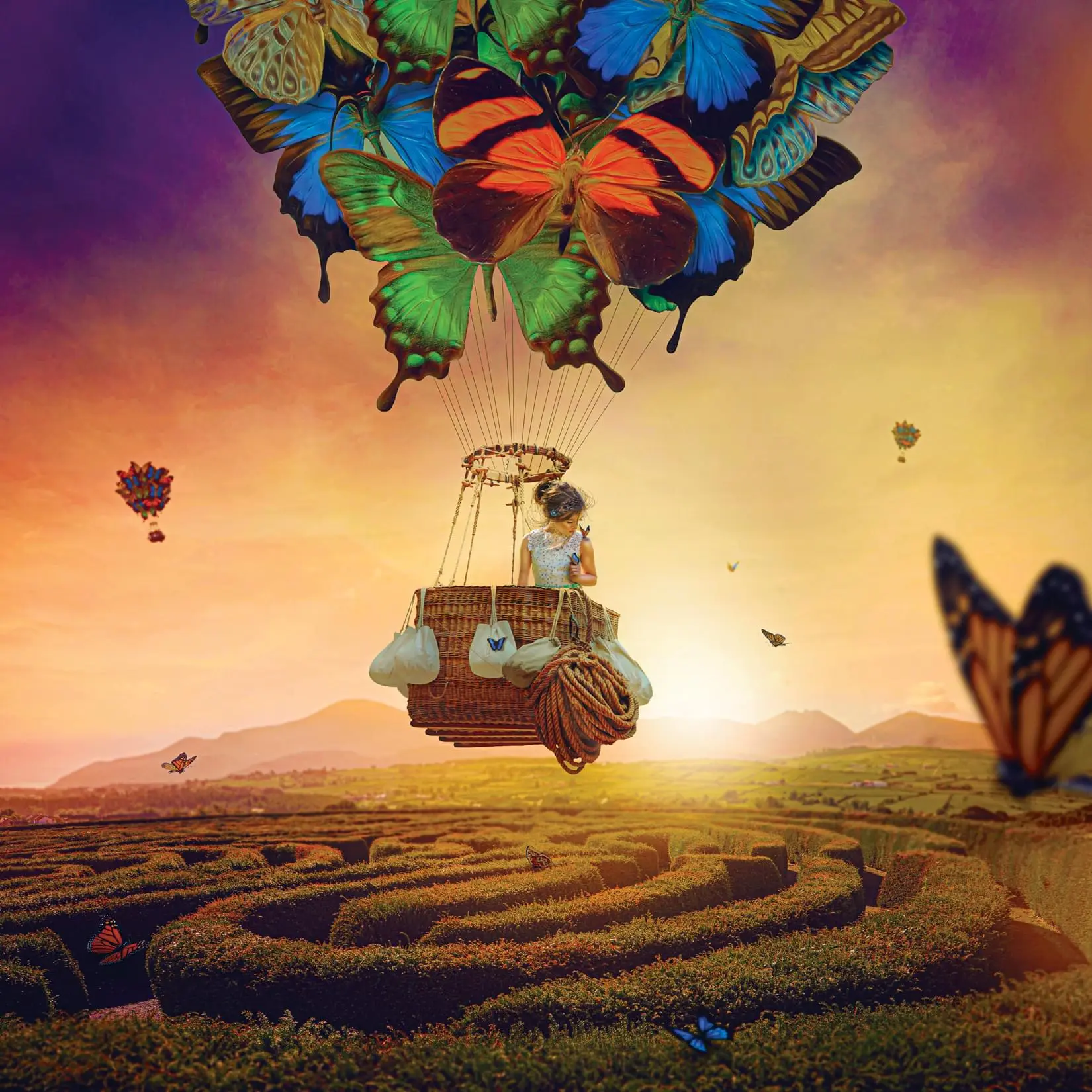 500-Piece Windsome Wanderer Butterfly Jigsaw Puzzle by Tara Lesher, Ideal for Butterflies Decor Enthusiasts