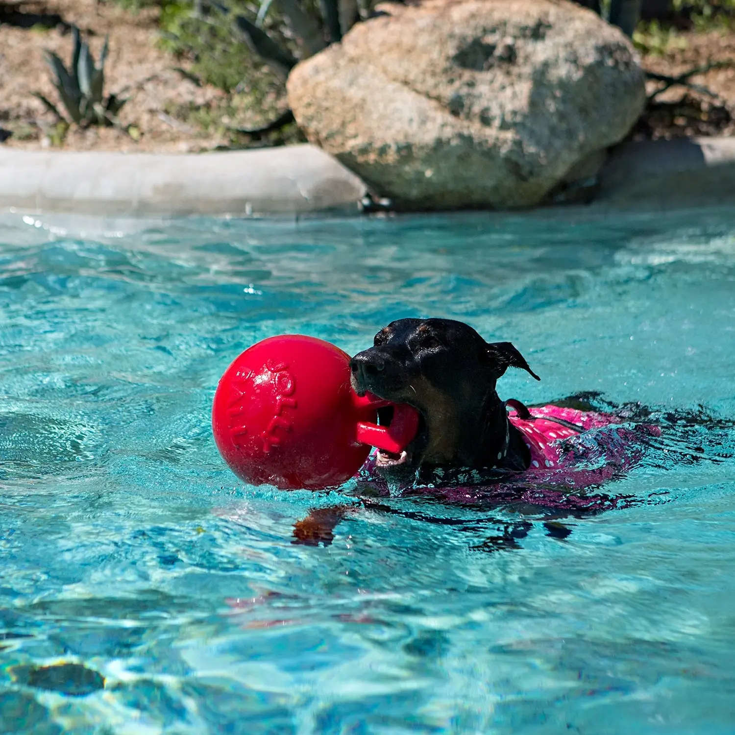 Jolly Pets Tug-n-Toss Mini – Small Bouncy Dog Ball with Handle | Lightweight & Floatable Toy for Small Breeds