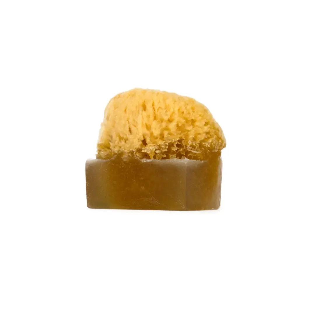 Eucalyptus Soap for Face and Body Wash | Made with Fresh Eucalyptus, Eucalyptus Oil and Butters