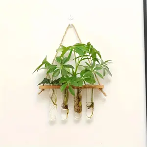Wall-Mounted Propagation Station with Pet Test Tubes, 1/2 Tier Plant Pots, Home Office Wall Container, Plant Hanger, Vase, Wall Decoration