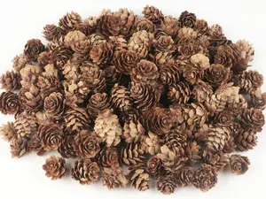 120 PCS Pine Cones Decorations, Natural Pine Cones Bulk - Mini Pine Cones Christmas Pine Cones for Table Christmas Tree Crafts Gifts