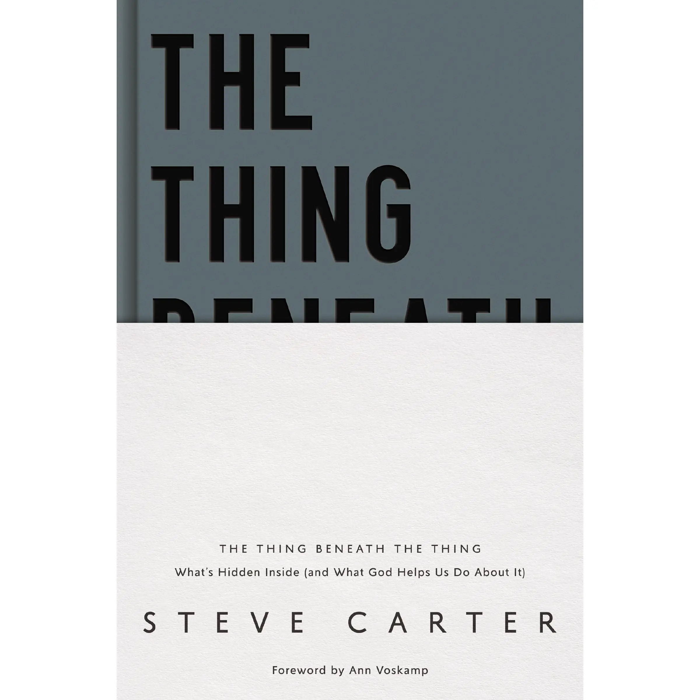 The Thing Beneath the Thing: What's Hidden Inside (and What God Helps Us Do About It) by Steve Carter [Hardback Book]