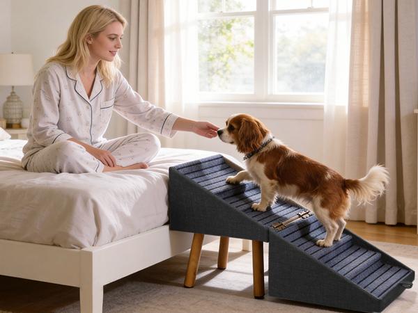 21-Inch Foldable Wooden Pet Steps and Ramp