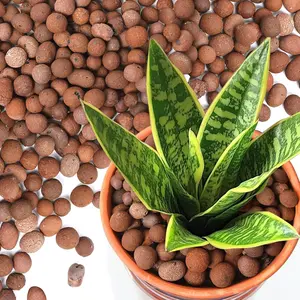 Leca Clay Pebbles for , 4.6qt 10-20 mm Clay Balls for Indoor ,  Clay Pebbles for Orchid Potting Mix, Hydroponic, Leca Pots,  Drainage, Garden Soil