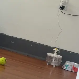 review image 4