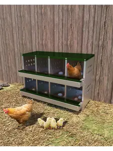 【Christmas Gift】Metal Chicken Nesting Box For Laying Eggs, Rustproof Wall-Mountable Roll Away Chicken Laying Boxes For Hens, Waterproof, Ventilated With Perch, 8 Compartments, Green