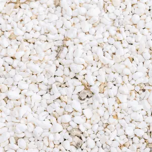10oz Perlite Soil Amendment for Plants to Improve Drainage and Promote Healthy Root Growth. Ideal for Indoor and Outdoor Gardening. Perfect for Succulents, Cacti, Veggies, Herbs, and Other Plants Needing Better Soil Aeration.