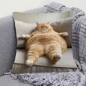 Funny Chonky Orange Cat Pillow Cover | Double-Sided Decorative Pillowcase for Couch & Bedroom
