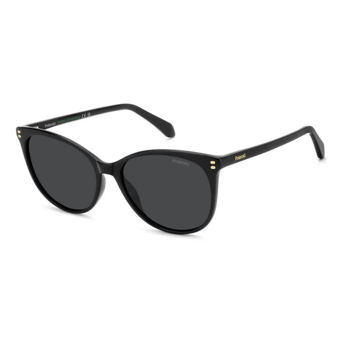 Polaroid Core PLD4200 Sunglasses