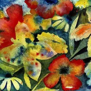 LENKER,ADRIANNE - SONGS AND INSTRUMENTALS Vinyl LP