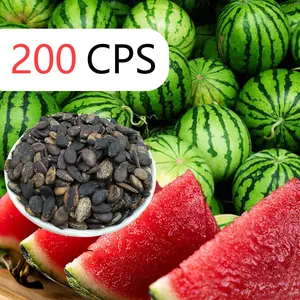 Grow Giant Backyard Watermelons!  Juicy, Sweet & Easy from Seed - Perfect for Home Gardens!