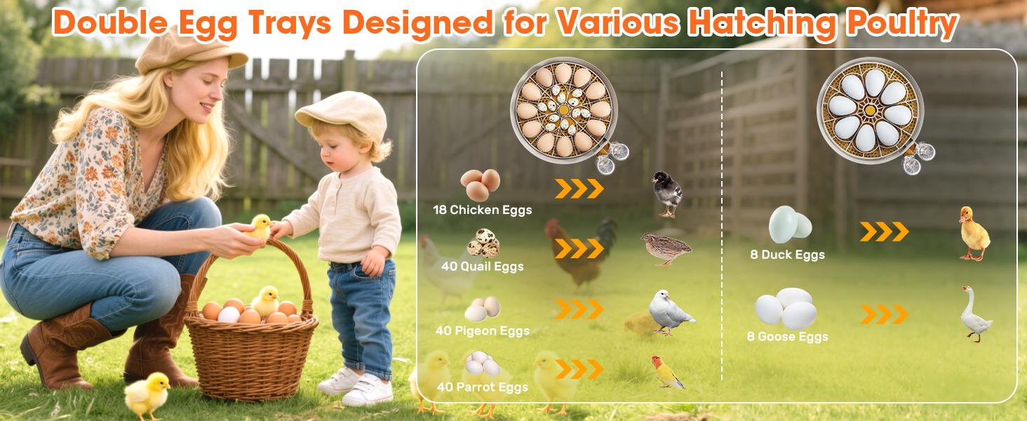 18 Egg Incubator with Automatic Egg Turning & Humidity Control, Built-in Egg Candler, 360° View Window & Dual-Size Trays for Chicken, Duck, Quail, Goose Eggs – Ideal for Farm, Classroom, Home Kitchen