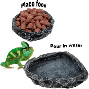 2Pcs Reptile Food Water Rock Bowls - Rock Worm Feeder Dish, Amphibian Feeding Bowl Terrarium Decor for Lizards, Chameleon, Leopard Gecko, Frog, Bearded Dragons, Snake, Hermit Crabs, Turtle Spider Pet - Home Improvement.