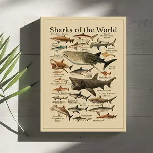 1 Count Wooden Framed Canvas, Sharks of the World Illustrated Poster, Modern Art Home Poster, Fashion Decoration, Living Room And Bedroom Decoration, Office Mural, Ideal Gift, High Definition, Waterproof, Framed Art, Wall Art Painting