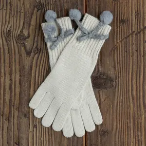 Alpina Gloves
