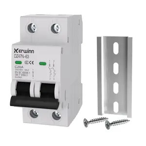 Miniature Circuit Breaker 120V/240V ac Circuit Breaker 2Pole 20Amp Smart Circuit Breaker DIN Rail Mount for Marine Power Systems,Solar photovoltaic Systems(C20A)