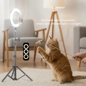 Video Light Kit: 25.6cm Outer Dimmable LED Ring Light, Light Stand（43 inch/110cm）,  Phone Holder for TikTok Videos, YouTube, TikTok, Self Portrait Shooting, live stream makeup vlog#Mother's Day Gifts