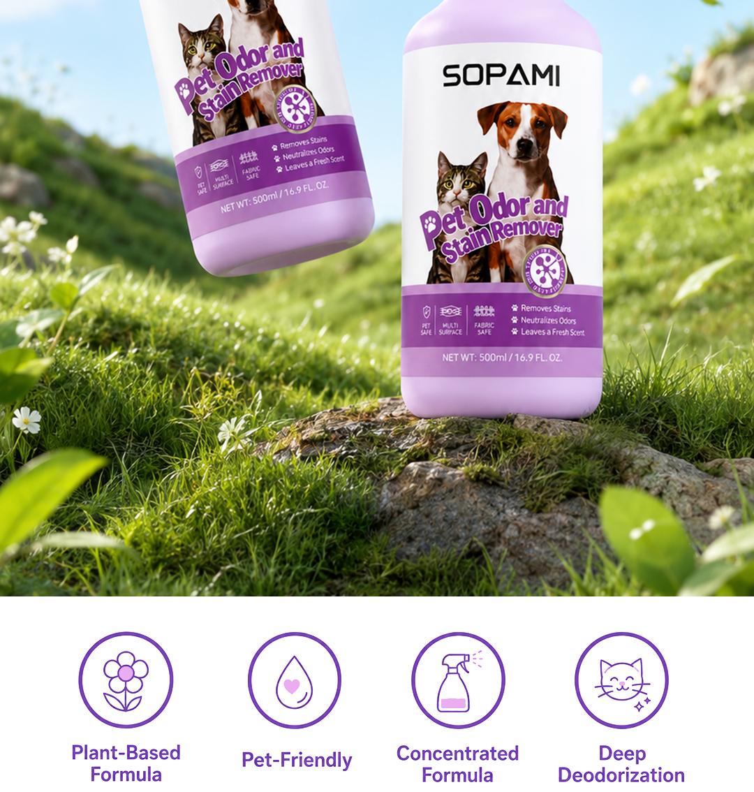 Pet stain and odor spot cleaning