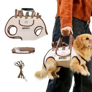 Portable Pet Carrier Backpack, Breathable Dog Cat Bag, Adjustable Shoulder Strap, Lightweight Travel Gear, Lomi Color/lion