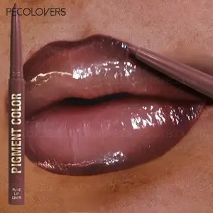 1PC 2-in-1 Matte Lip Liner & Glossy Gloss, Waterproof, Non-Stick Lipstick, Suitable for beginners