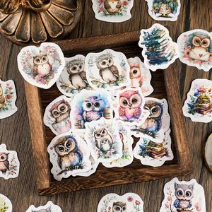Cartoon Owl Pattern Sticker, 46pcs/bag Cute Self Adhesive Decorative Sticker, DIY Decals for Water Bottle Laptop Phone Case Scrapbooking Journal Making