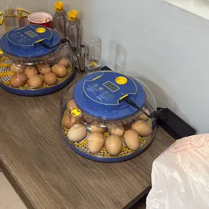18 Eggs Incubators for Hatching Eggs,  Egg Incubator with Automatic Egg Turning and Temperature Control Humidity Display, Incubator for Chicken Eggs with Adapter,