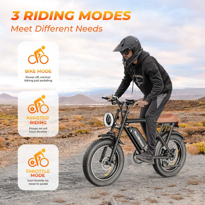 1500W Peak Electric Bike for Adults Reaches 31 MPH 40-75 Miles Range 48V Battery 20" Fat Tires All Terrain E-Bike Ideal for Road Sand Mountain & Snow