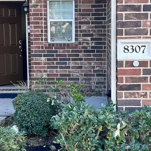 Product Review of [NEW] [medicube] Smooth & Clear Body Care Set | Hypochlorous Acid Body Peel Shot, Kojic Acid Turmeric Body Wash, Toner Pad, Toner, Mist | Exfoliating for Dead Skin Cells & Excess Sebum & Clearing for After Spots, Texture & Uneven Skin Tone | K-Beauty from L**y