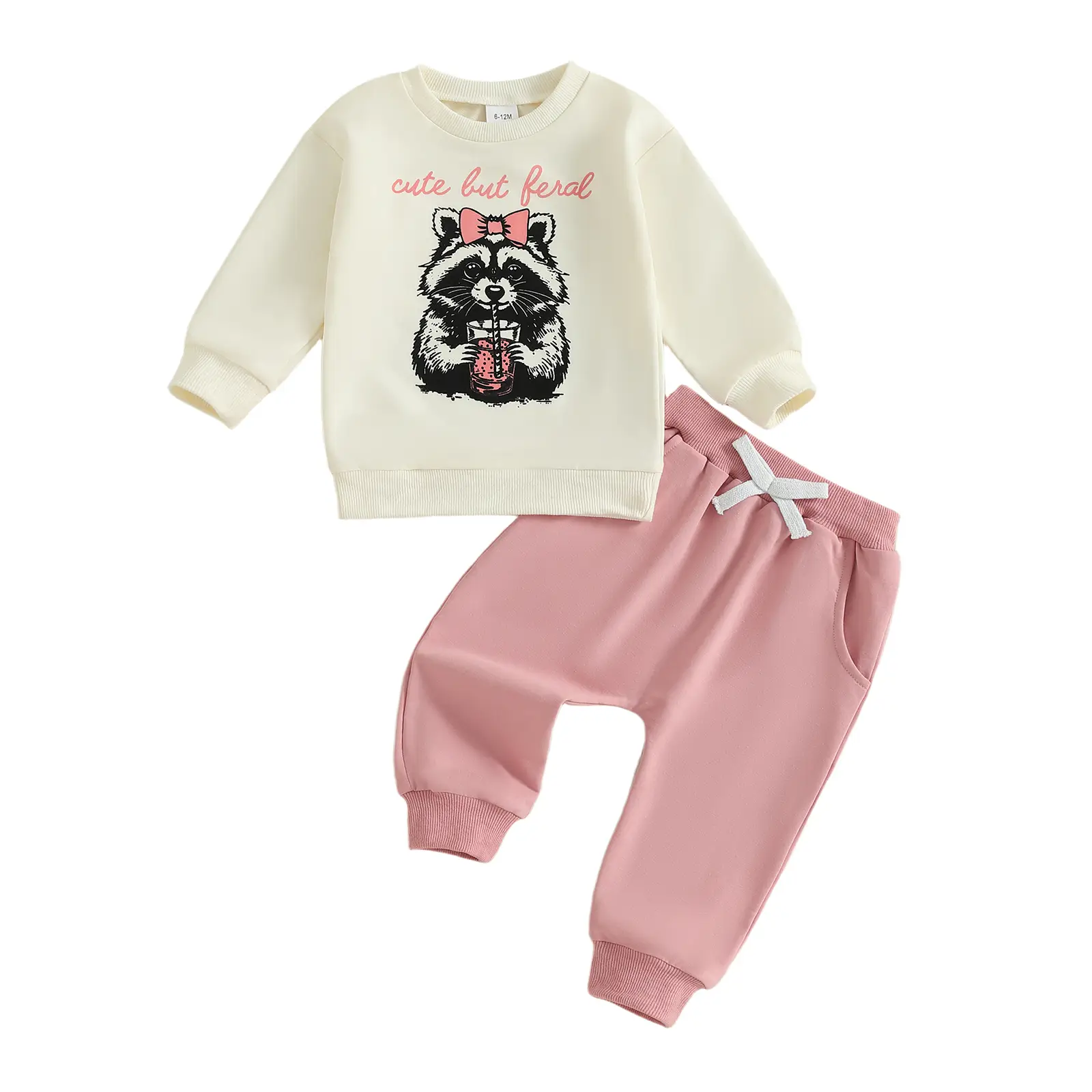Toddler Baby Girl Fall Outfits Raccoon Letter Print Crew Neck Long Sleeve Sweatshirt with Pants 2 Pcs Set