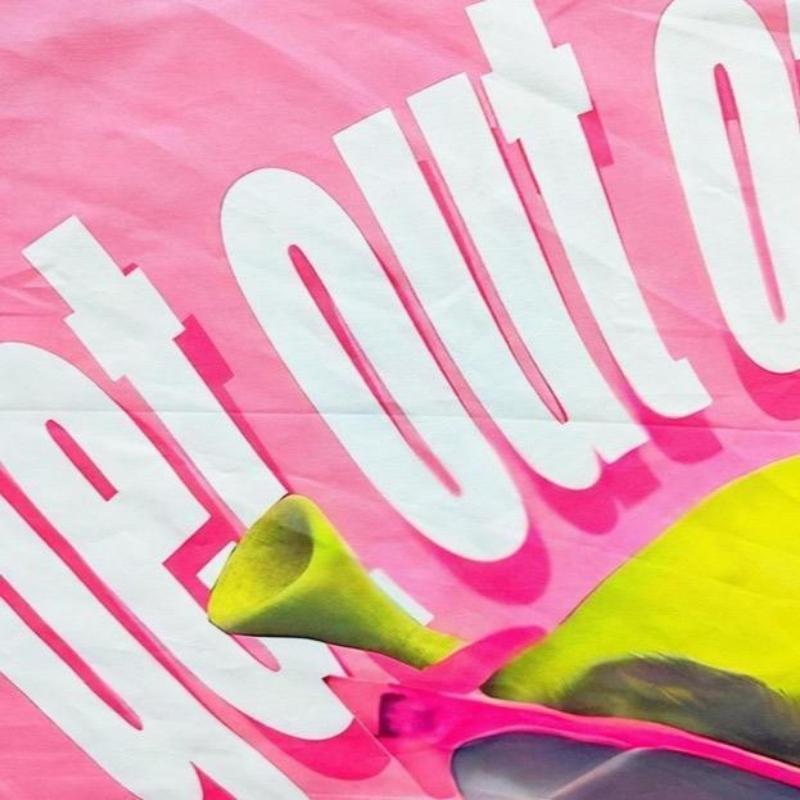 Tapestry  Funny Shrek Pink Tapestry 3x5 Get Out Of My Swamp Meme Tapestry Wall Hanging Dorm Backdrop Home Decor for Bedroom Living Room Decorative Landscape Table Light Peach Velvet Decoration