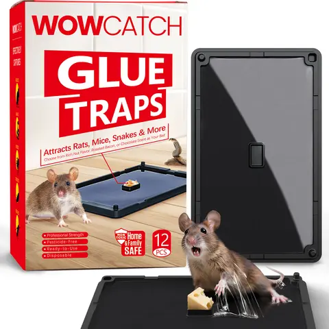 Wowcatch Indoor Sticky Glue Traps 16/24 Pack Assorted Sizes S/M/L Pet Safe Non Toxic with Bait Slot Effective for Mice Rats Roaches Ideal for Home Kitchen Pest Control