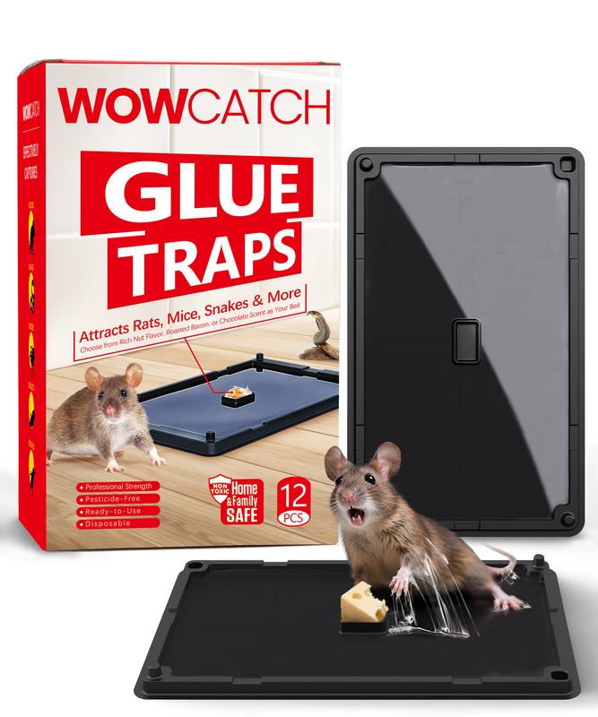 Wowcatch Indoor Sticky Glue Traps 16/24 Pack Assorted Sizes S/M/L Pet Safe Non Toxic with Bait Slot Effective for Mice Rats Roaches Ideal for Home Kitchen Pest Control