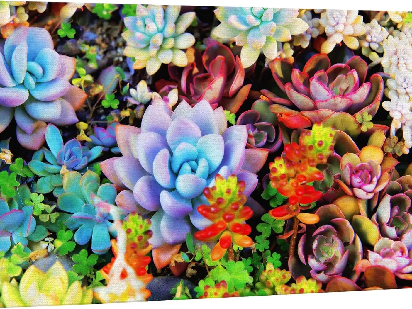 Canvas Print Wall Art Neon Multicolor Southwest Tropical Desert Succulent Cactus Nature Floral Modern Art Botanical Rustic Colorful Wilderness for Living Room, Bedroom, Office Ornaments Decoration Artistic Poster Flower Decor