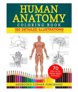 Medbooks Corner Publishing Human Anatomy Coloring Book 150 Detailed Illustrations & 70 Fascinating Facts for Adults Medical Students & Nurses Advanced Body Systems Learning