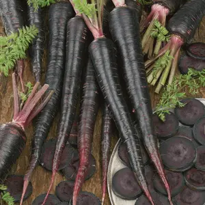 Black Nebula Carrot Seeds