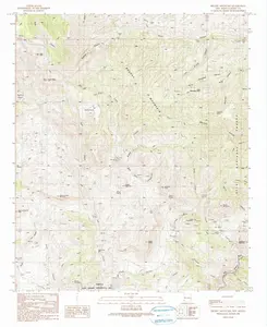 Brushy Mountain New Mexico USGS Topographic Quadrangle Map, 1990, 1:24000