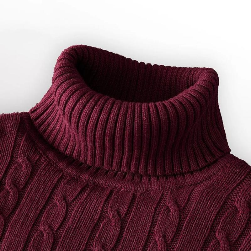 Ebb Supply New Men's Turtleneck Sweater Solid Color High Neck Pullover Knitted Sweaters Casual Elastic Sweatwear Mens Fall Winter