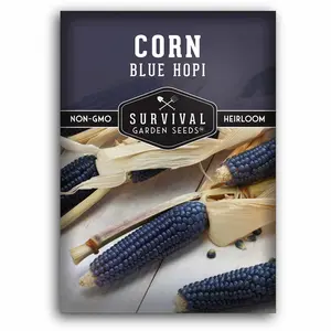 Blue Hopi Corn Seeds - Heritage Blue Maize