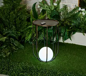 Garden Reflections Metal Plant Stand w/ LED Ball Light