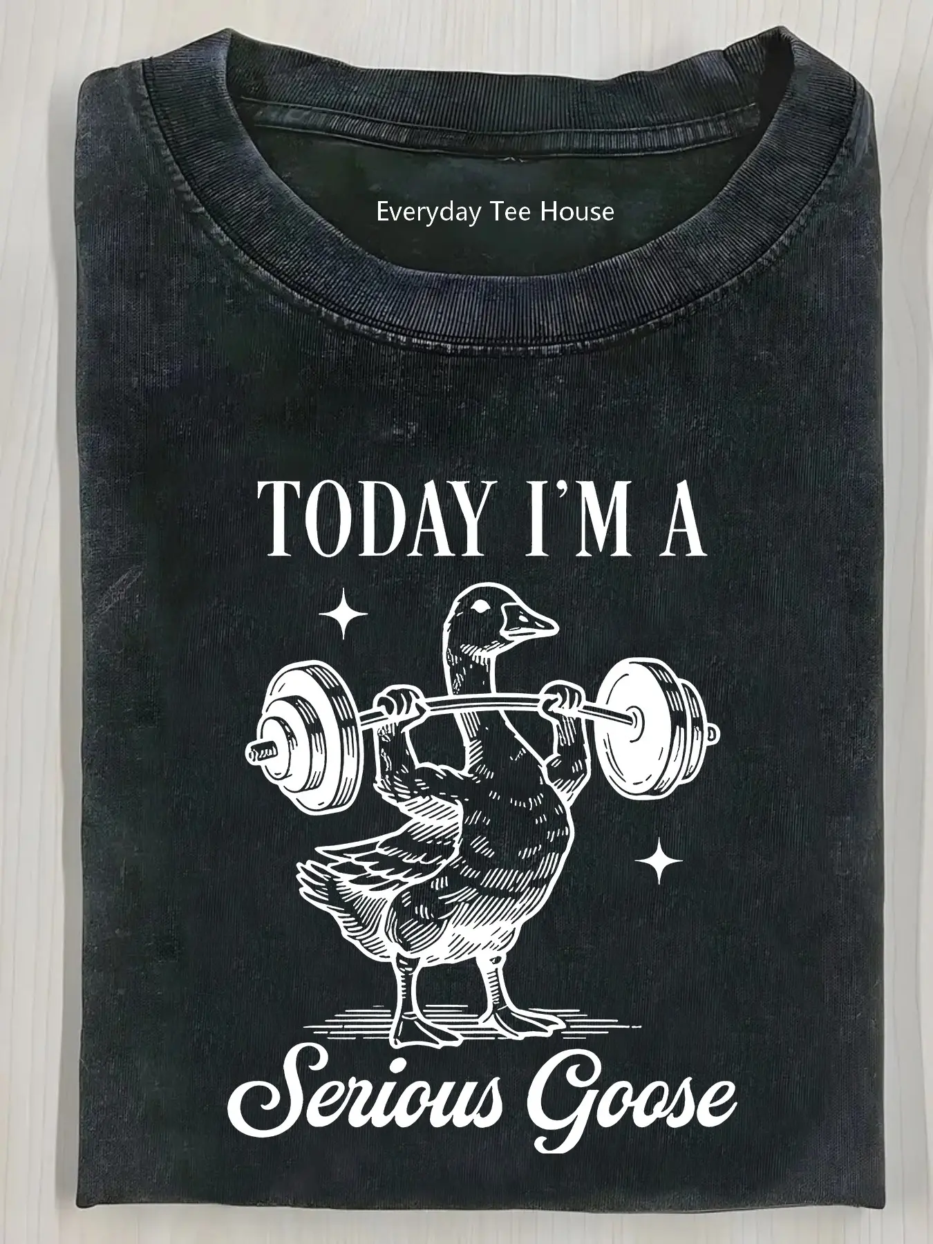 Men's 'Serious Goose' Funny Graphic T-Shirt, Heavyweight Vintage Shortsleeve Top with a Loose Fit for Streetwear and Holidays, Menswear, Tshirt, Men's T Shirts, Funny Print, Vintage Vibe Adds Character To Basics, Festive, Cotton, Round Neck