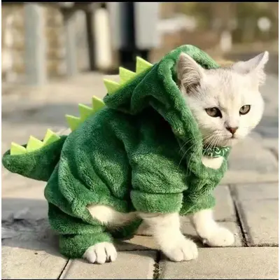 Dog Costco Cat Hoodie Cat Hoodie Outfit Costco TikTok Shop