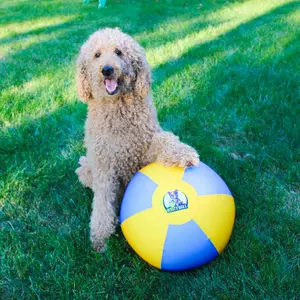 Bosty Ball LITE – 16" Herding Ball for Dogs